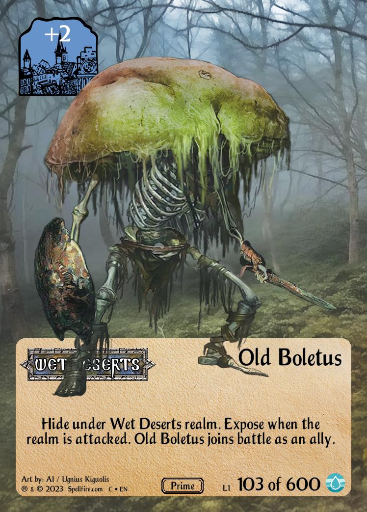 Old Boletus