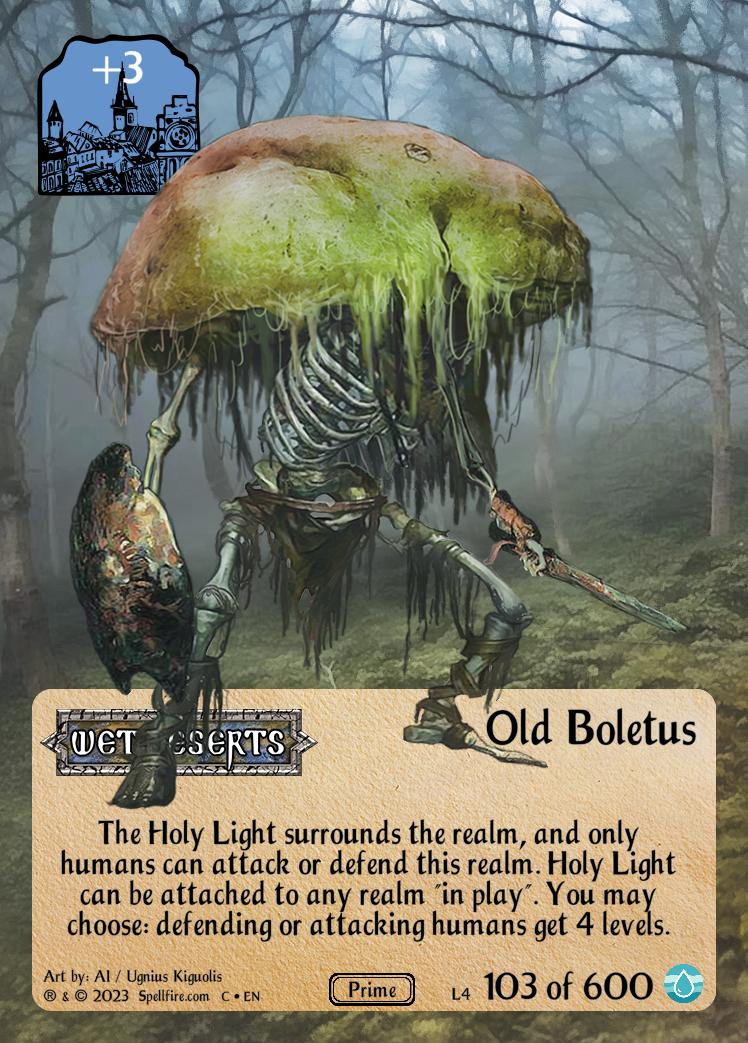 Level 4 Old Boletus
