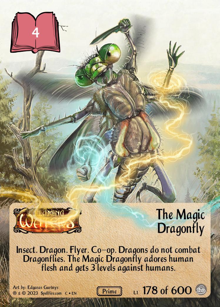 The Magic Dragonfly