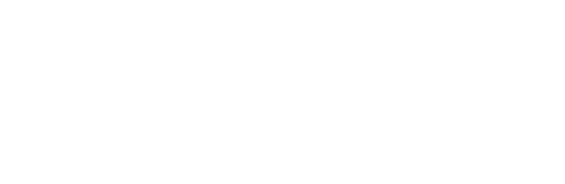 Basics Capital